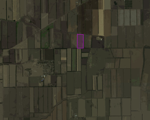 Краснодарский